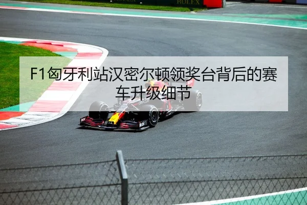F1匈牙利站汉密尔顿领奖台背后的赛车升级细节