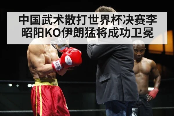 中国武术散打世界杯决赛李昭阳KO伊朗猛将成功卫冕