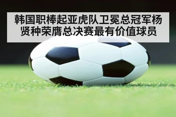 韩国职棒起亚虎队卫冕总冠军杨贤种荣膺总决赛最有价值球员