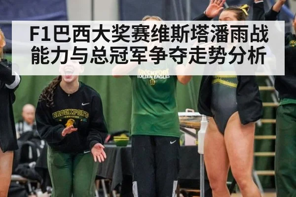 F1巴西大奖赛维斯塔潘雨战能力与总冠军争夺走势分析